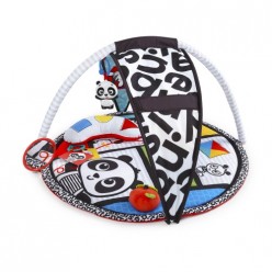 Baby Einstein gimnasio panda 